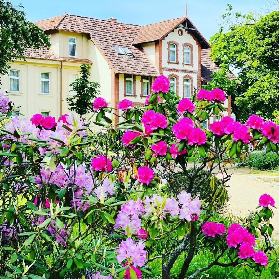 Parkhotel Pretzsch Bad Schmiedeberg Exterior foto
